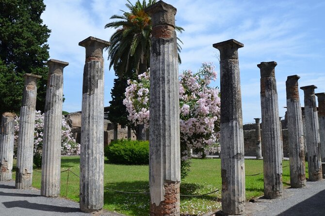 Pompeii: Guided Small Group Tour Max 6 People With Private Option - Cancellation Policy