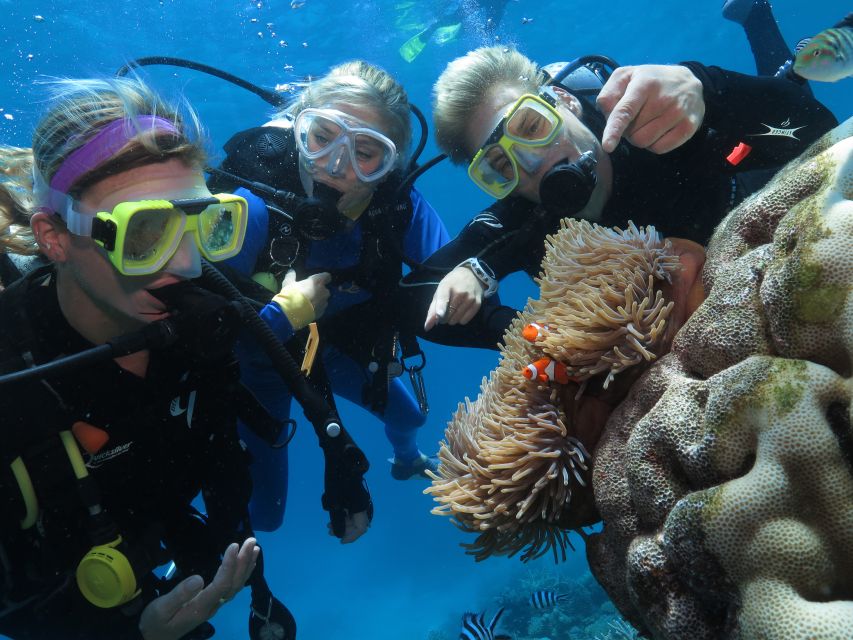 Port Douglas: Quicksilver Outer Barrier Reef Full-Day Cruise - Frequently Asked Questions