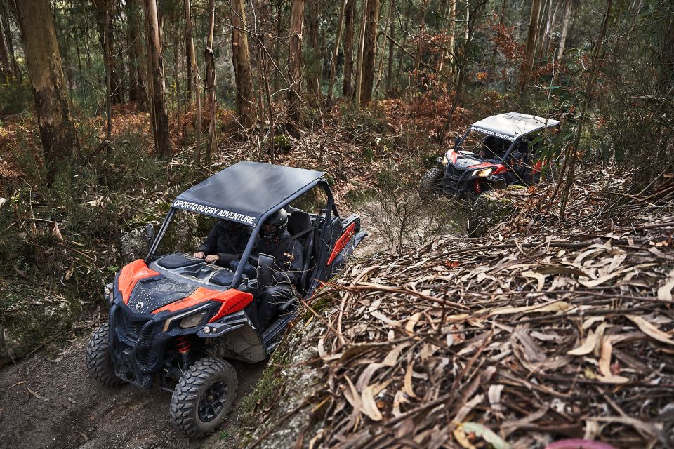 Porto: Extreme Tour by Oporto Buggy - Getting to the Tour