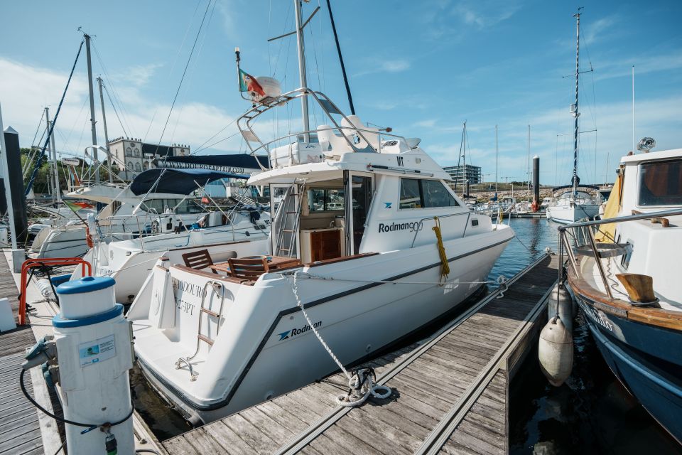 Porto: Private Douro River Sunset Cruise - Enjoy the Beauty of Nature