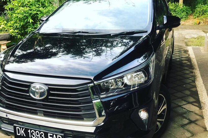 Private Car Charter in Bali With an English-Speaking Driver - Advantages of Private Transport