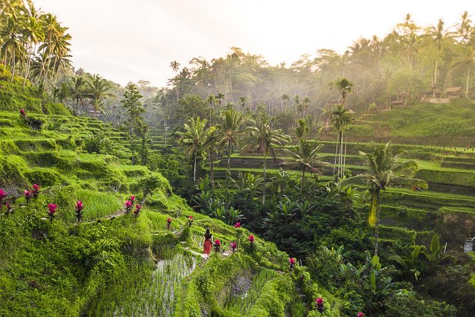 Private Full-Day Tour: Balinese Temples and Rice Terraces - Inclusions and Exclusions