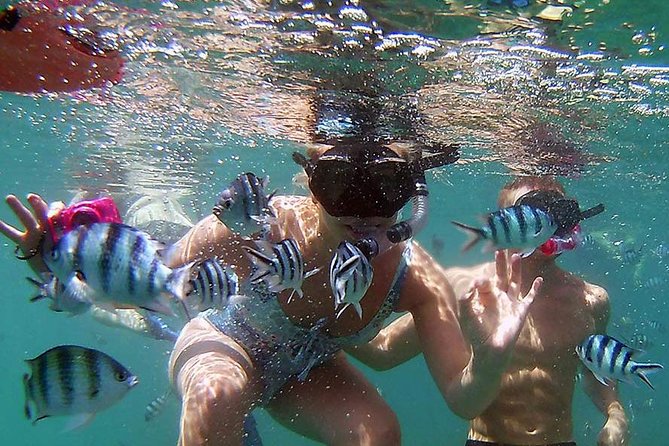 Private Half-Day Blue Dragon Yacht for Snorkeling Koh Tan & Visit Pig Island - Booking Confirmation and Requirements