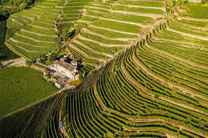 Private Lake Como Beautiful Landscapes With Luca - Visiting Terraced Vineyards