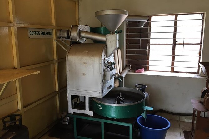 Private Mercara Coorg Coffee and Spice Estate Tour - Exploring the Spice Estate