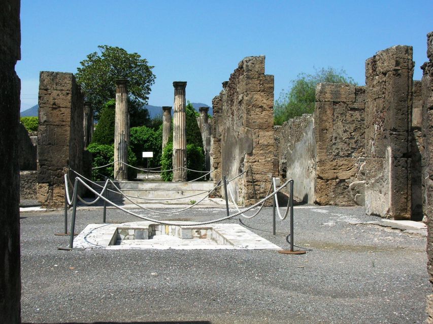 Private Pompeii Tour and Wine Tasting - Guided Tour Activities