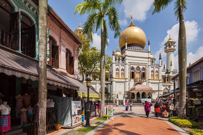 Private Singapore City Highlights Tour By Car - Half Day or Full Day - Inclusions and Exclusions