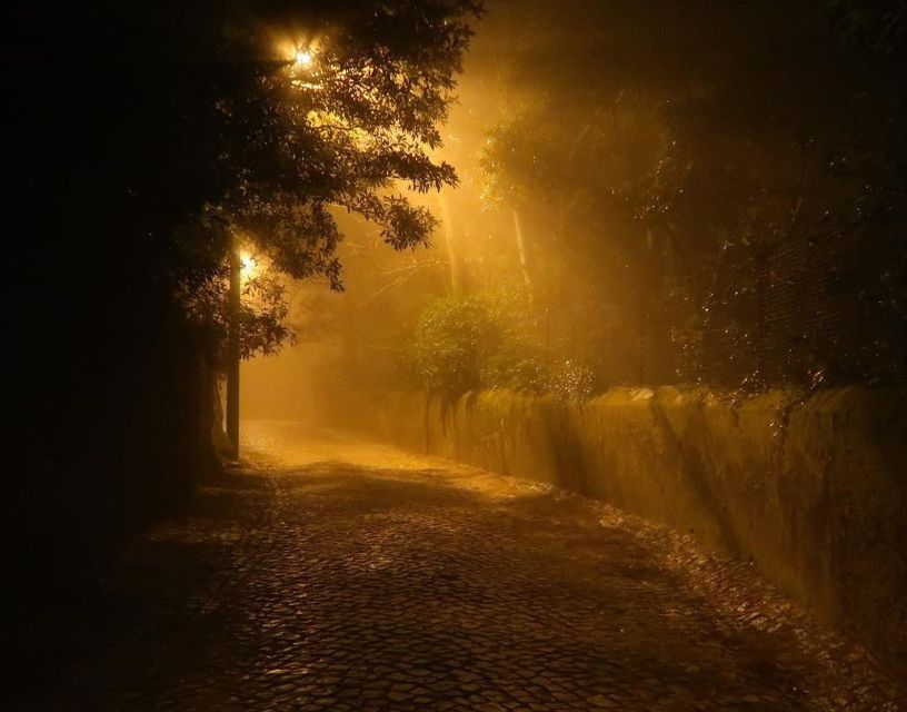 Private Sintra Night Walk: Dreams in the Woods - Terrain and Mobility Requirements