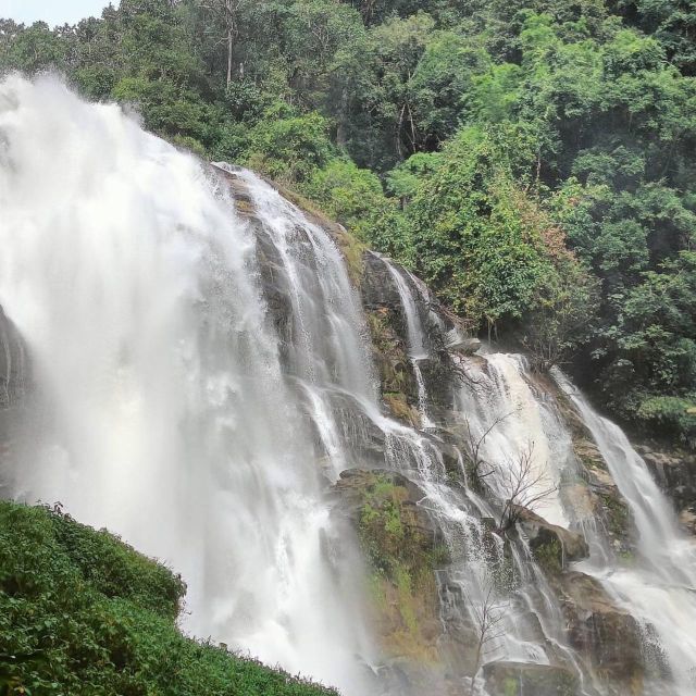 Private Tour Doi Inthanon, Trekking Kew Mae Pan Nature Trail - Pickup and Drop-off