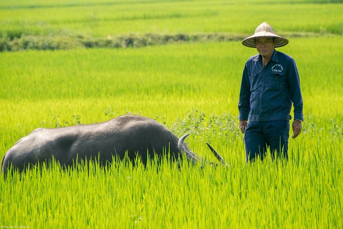 PRIVATE TOUR HOI AN Biking River Islands, Villages, Local Crafts - Exploring Local Industries