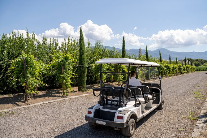Private Tour of Pompeii Ruins, Organic Wine Tasting and Lunch - Delectable 3-Course Lunch