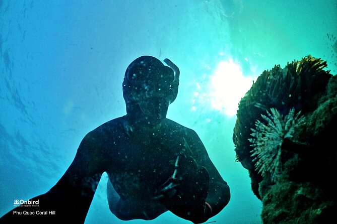 PROFESSIONAL SNORKELING to Explore Hidden Coral Spots (MAX 9 PAX) - High-Quality Snorkeling Equipment Provided
