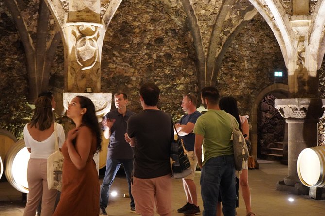 Provence Wine Small Group Day Tour From Nice With Tastings & Lunch - Tour Accessibility and Restrictions