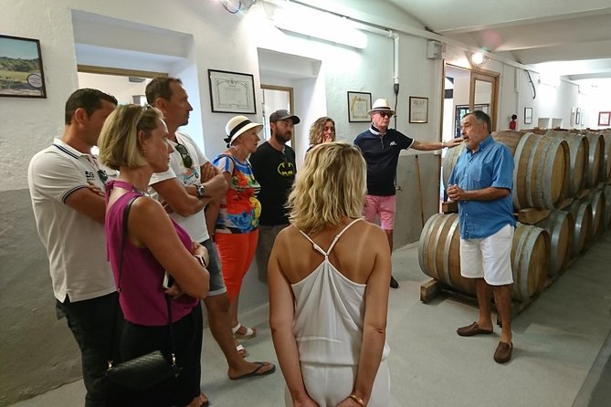 Provence Wine Tour - Private Day Tour From Nice - Explore Provences Winemaking History