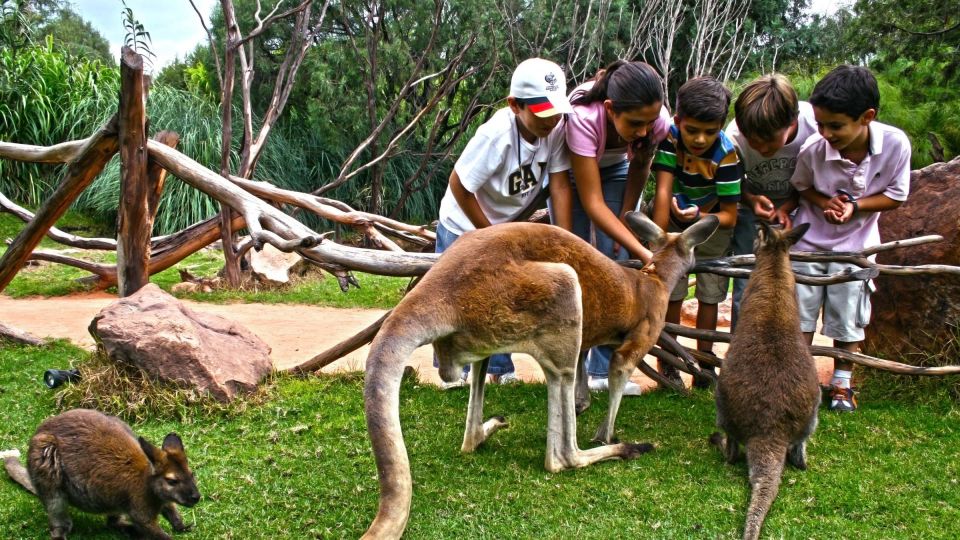 Puebla Africam Safari Park, Live an Unforgettable Adventure! - Getting There