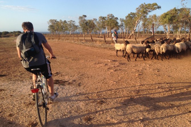 Puglia Bike Tour: Cycling Through the History of Extra Virgin Olive Oil - Meeting Point and End Point Details