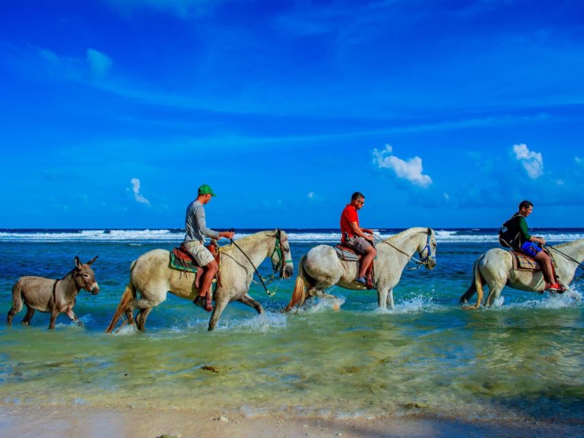 Punta Cana: Horseback Riding Amazing Adventure - Frequently Asked Questions