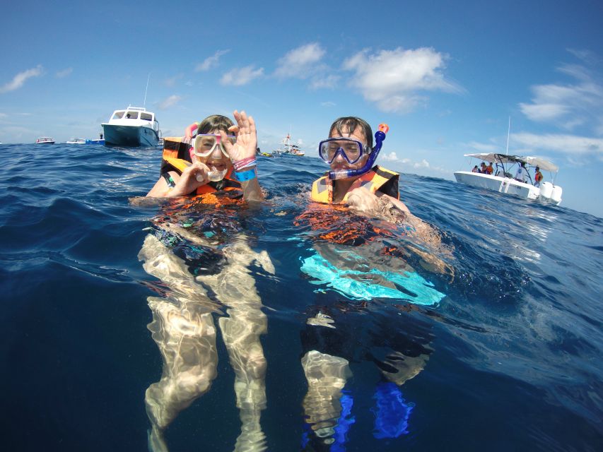 Quintana Roo: Whale Shark Swim, Private Boat Trip, and Lunch - Frequently Asked Questions