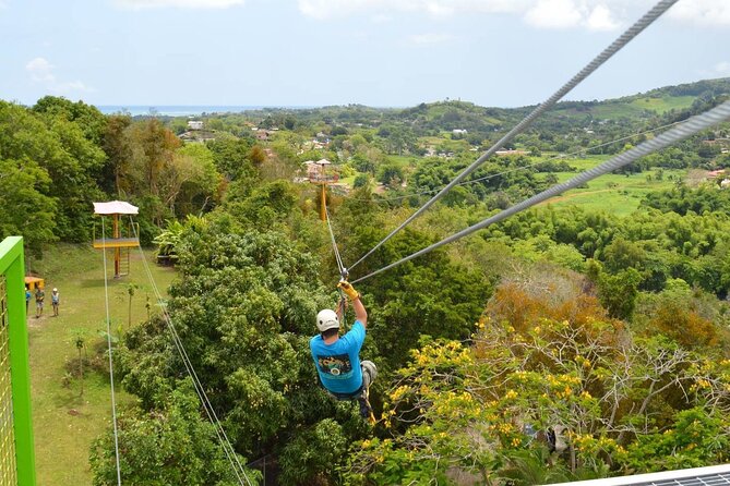 Rainforest Zipline in Foothills of the National Rainforest - Tour Group Size