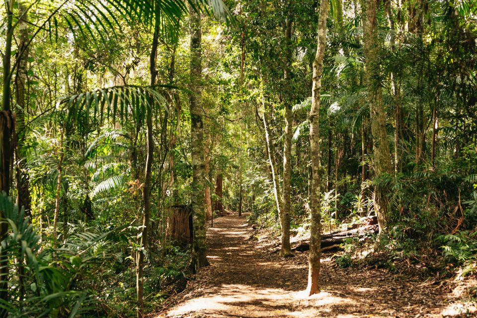 Rainforests and Glow Worm Cave: Day Tour From Brisbane - Customer Reviews and Ratings