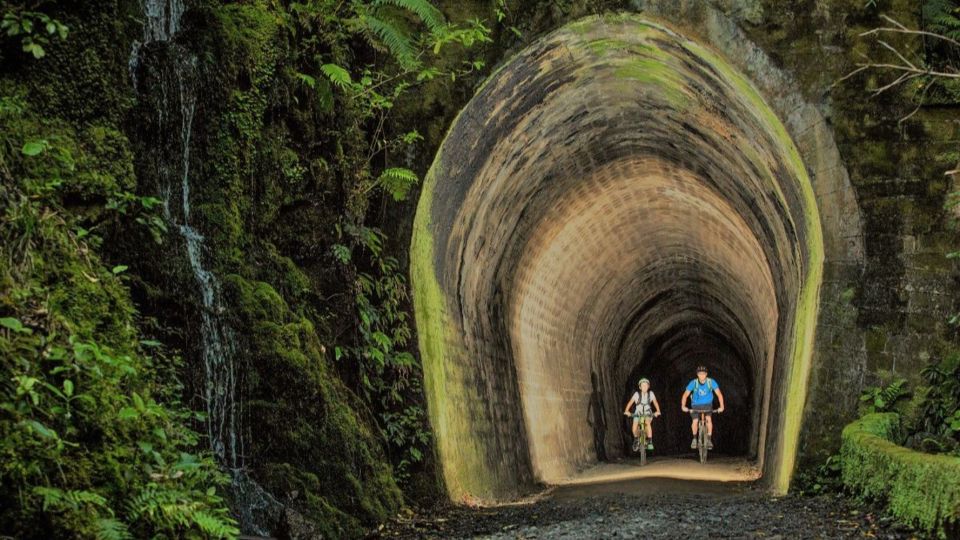 Remutaka Rail Trail Ebike Shore Excursion for Cruise Ships - Customer Reviews