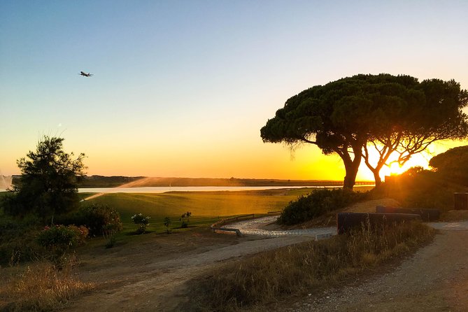 Ria Formosa Natural Park Birdwatching Segway Tour From Faro - Tour Duration and Return