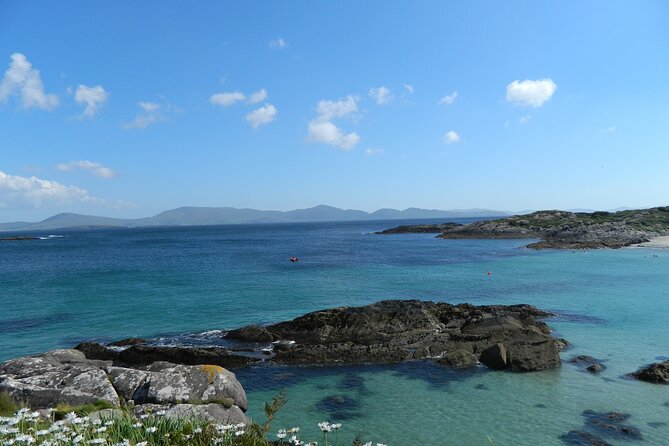 Ring of Kerry and Skellig Ring Private Tour - Additional Information