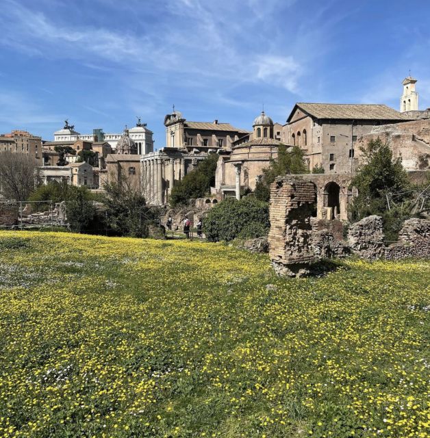 Rome: Colosseum, Roman Forum, and Palatine Hill Private Tour - Commercial and Political Center