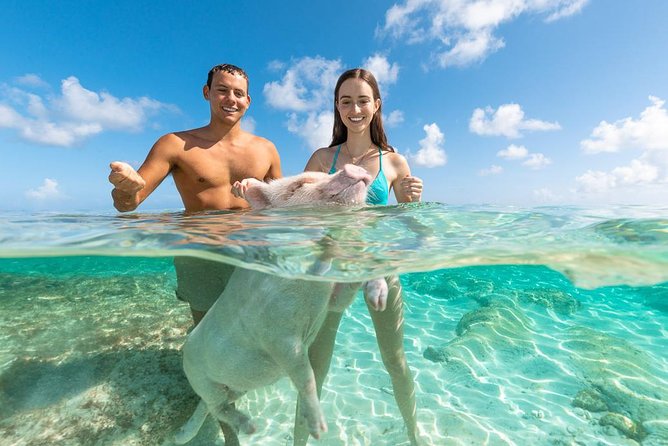 Rose Island Bahamas Original Swimming Pigs and Snorkeling - Confirmation and Cancellation Policy