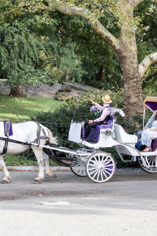 Royal Carriage Ride in Central Park NYC - Meeting Point and Directions