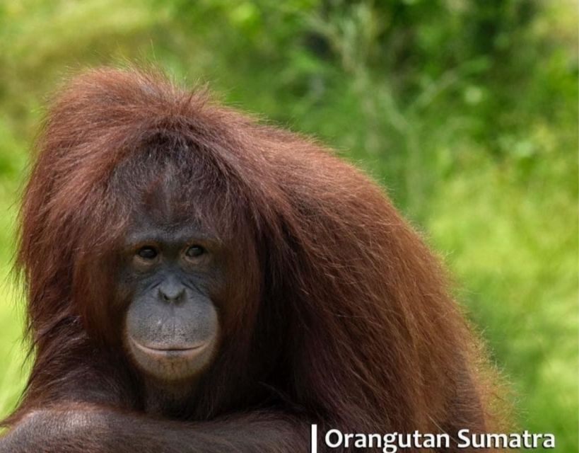 Safari Lagoi & Eco Farm Bintan - Visitor Recommendations