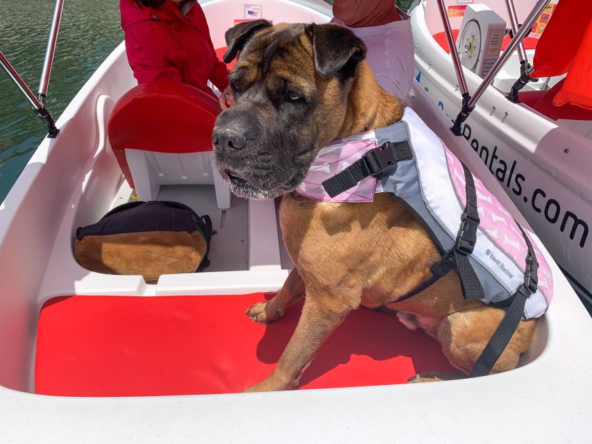 San Diego: San Diego Bay Dog-Friendly Eco Pedal Boat Rentals - Directions