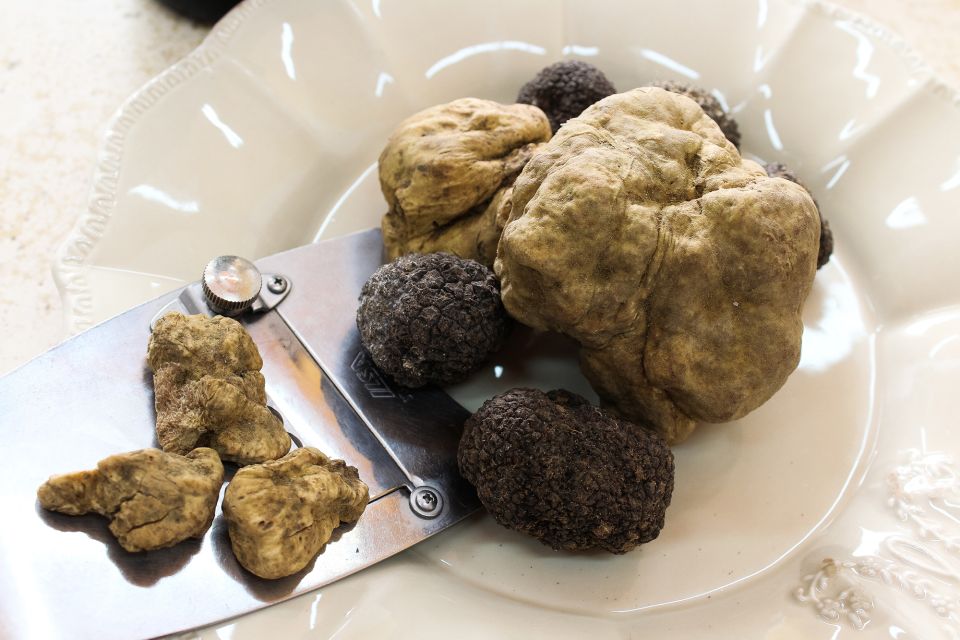 San Gimignano: Truffle Cooking Class With Wine Tasting - Tuscan Meal and Pairings