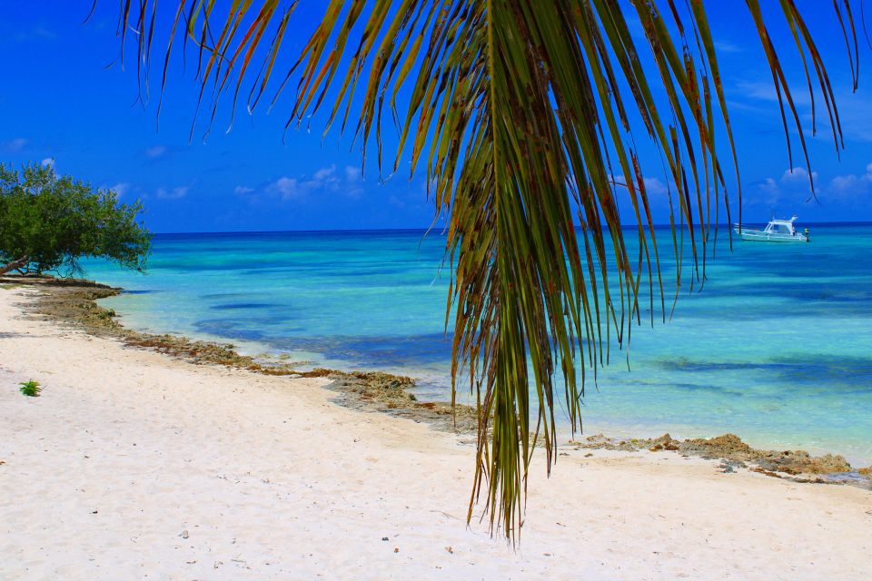 Saona Island: All-Inclusive Full-Day Tour - Frequently Asked Questions