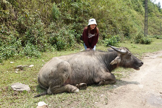 Sapa Valley Trek and Homestay - 3D2N - Accommodation and Meals