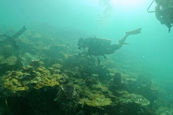Scuba Diving for Certified Divers in Phu Quoc Island - Customer Reviews and Experiences