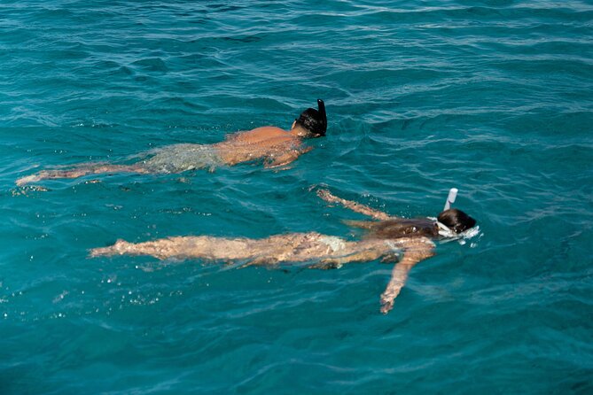 Semi-Private Brand-New Catamaran Cruise in Mykonos With Meal, Drinks & Transport - Onboard Water Activities