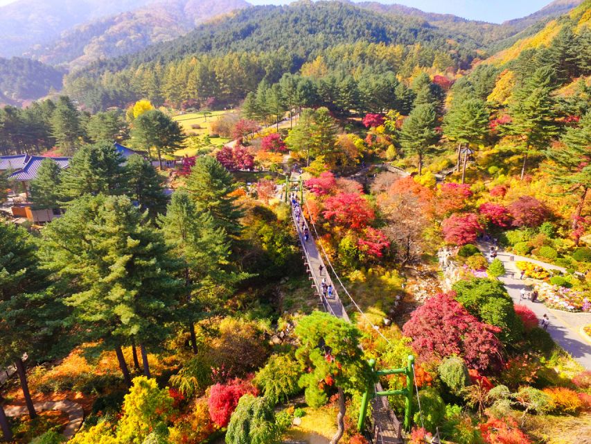 Seoul: Alpaca World & Nami Island (Optional Korean Garden) - Pricing and Duration