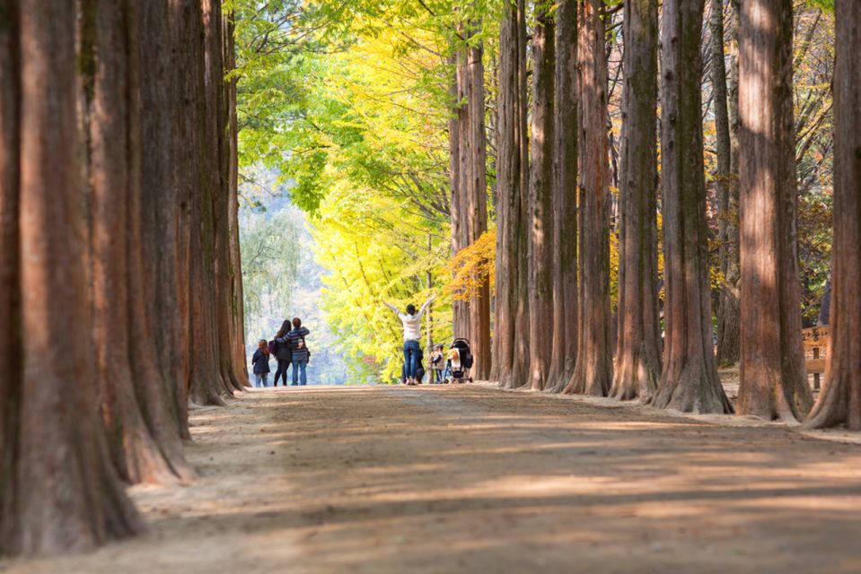 Seoul: Namiseom, Petite France, & Garden of Morning Calm - Nami Island and Its Beauty