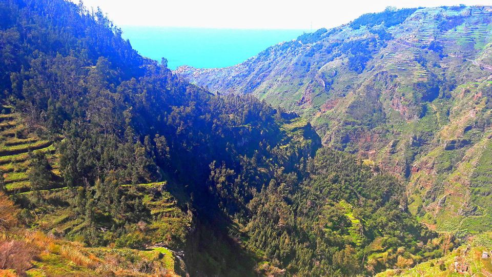 Serra De Água Valley Levada Walk - Pricing and Duration