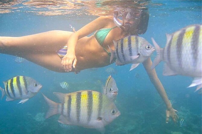 Set Sail in Aruba: Jolly Pirate Cruise With Snorkel Adventure - Confirmation and Booking Information