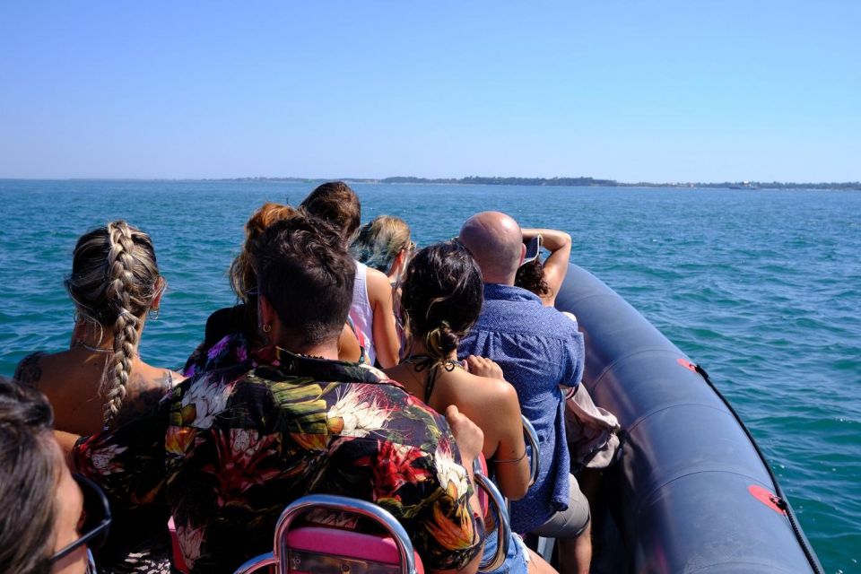 Setúbal: Dolphin-Watching Boat Tour - Accessibility Considerations