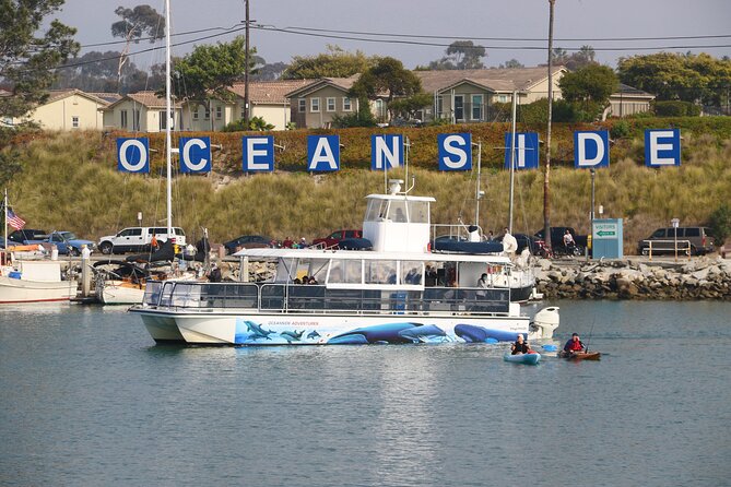 Shared Two-Hour Whale Watching Tour From Oceanside - Whale and Dolphin Sightings