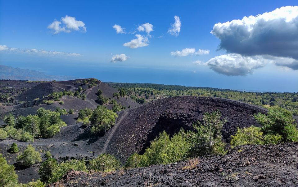 Sicily: Etna and Alcantara Gorges Full-Day Tour With Lunch - Restrictions and Accessibility