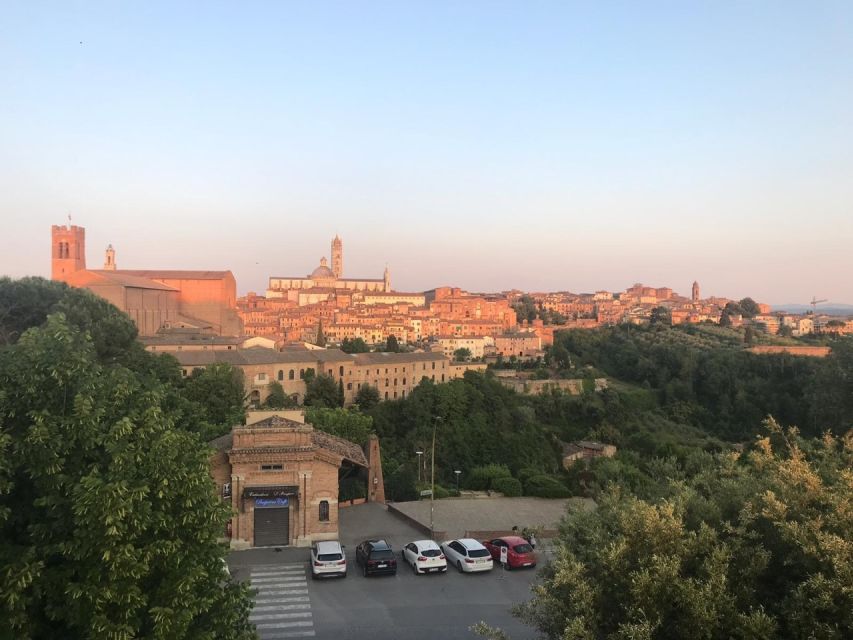 Siena: 3h Private City Walking Tour With Optional Cathedral - Siena Cathedral Tour