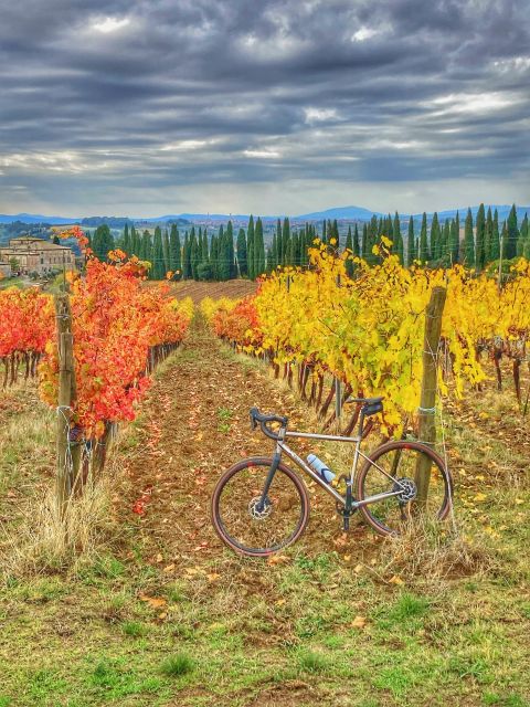 Siena: Chianti Classico Guided Cycling Tour - Cycling Experience