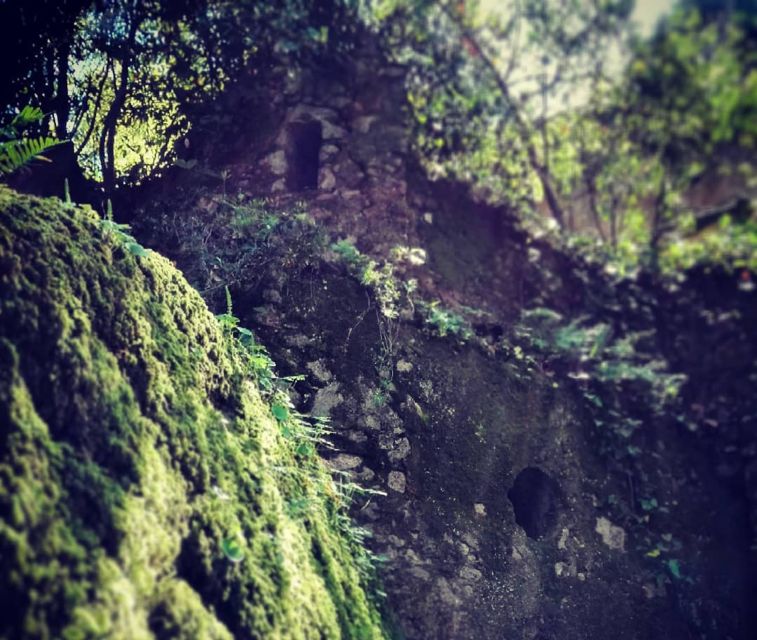 Sintra: Legends and Medieval Stories Private Walking Tour - Booking and Important Information