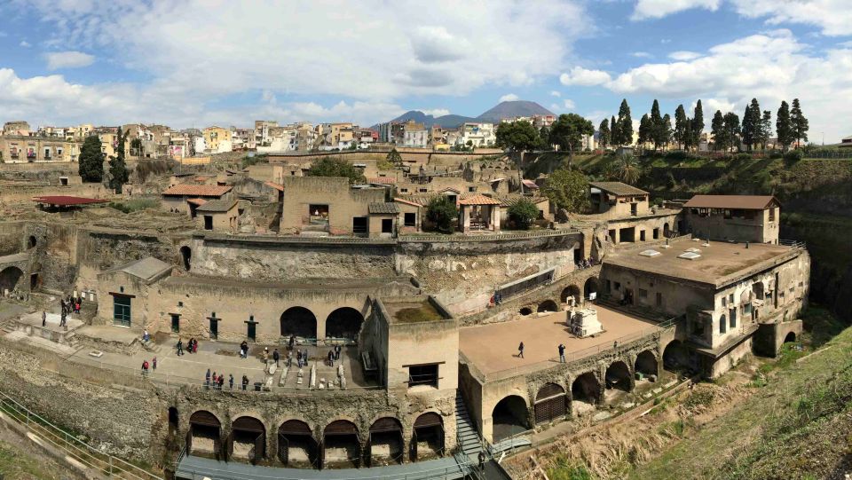 Skip the Line in Herculaneum - Half Day Group Tour - Entrance Fee