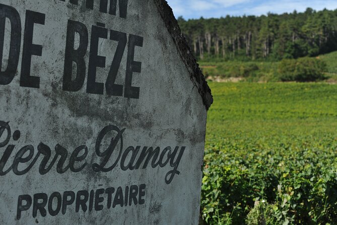 Small Group Burgundy Tour of Beaune With Wine Tasting From Dijon - Inclusions and Exclusions