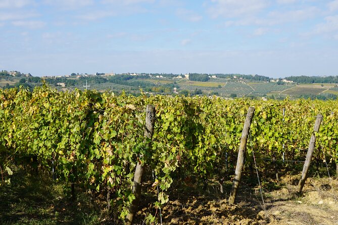 SMALL GROUP Chianti 2 Wineries & Meat Feast @ Dario Cecchini - Tour Operator and Group Size